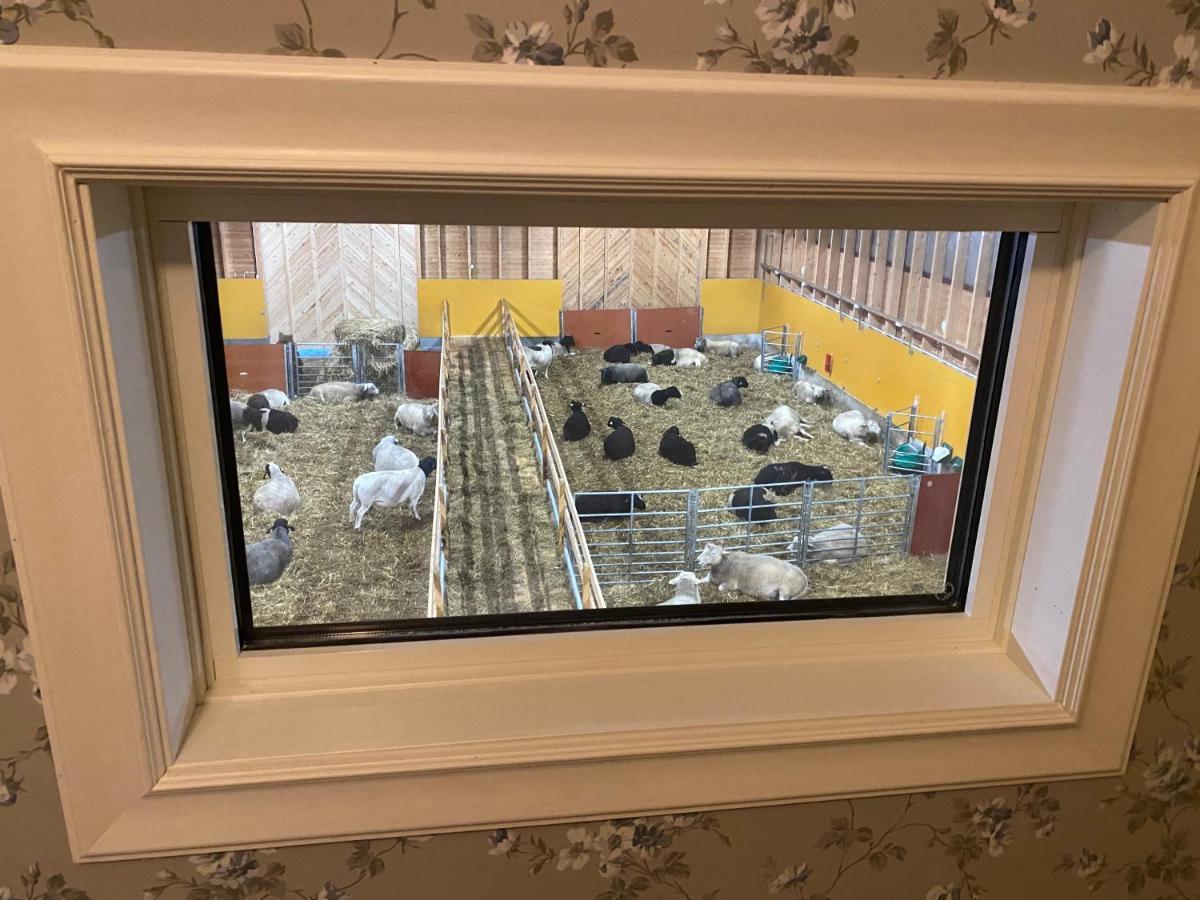 Newly Built Apartment Next Door To The Sheep Norrfjarden Εξωτερικό φωτογραφία